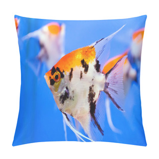 Personality  Aquarium Fish Pillow Covers