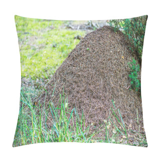 Personality  Big Ant Hill Pillow Covers