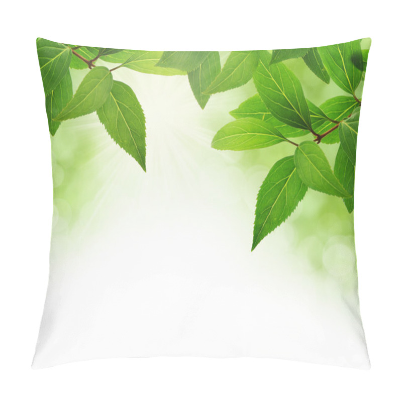 Personality  Green leaves border with copy space pillow covers