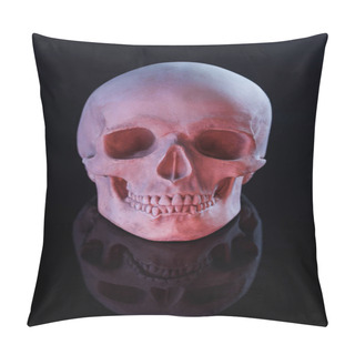 Personality  Spooky Human Skull Isolated On Black, Halloween Decoration Pillow Covers