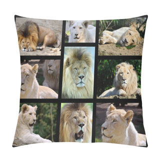 Personality  Photos Mosaic Of Lions Pillow Covers