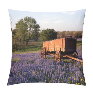 Personality  Hill Country, Texas Pillow Covers