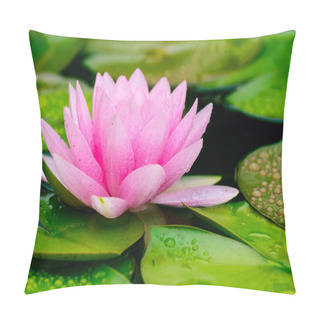 Personality  Waterlily In Garden Pond Pillow Covers
