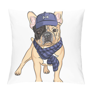 Personality  Vector Funny Cartoon Hipster Dog French Bulldog Breed Pillow Covers