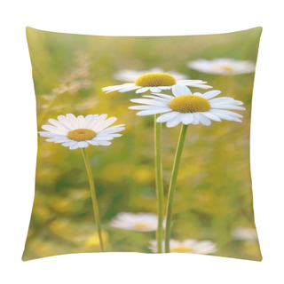 Personality  Daisies On A Meadow Pillow Covers