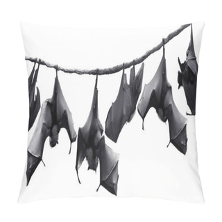 Personality  Colony Of Bats Hanging On Vines In White Background Pillow Covers