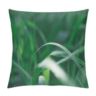 Personality  Macro Shot Of Green Grass For Background Pillow Covers