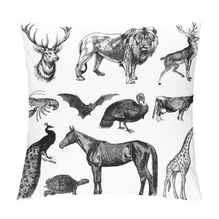Personality  Vector Vintage Animal Set Pillow Covers