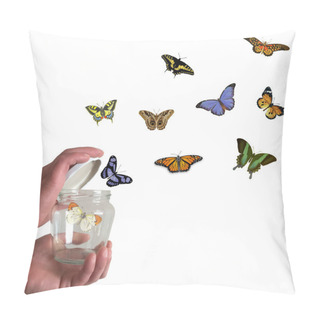 Personality  Let The Butterflies Fly, Let Your Dreams Fly Pillow Covers