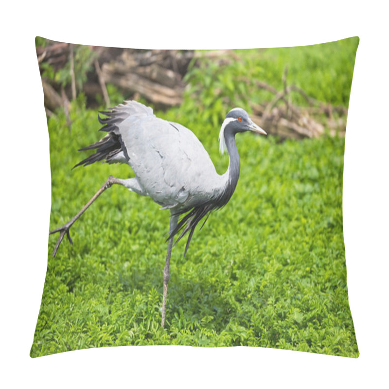 Personality  Demoiselle Crane Pillow Covers