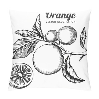Personality  Ink Hand Drawn Orange Isolated On White Background. Vector Illustration Of Highly Detailed Citrus Fruits Pillow Covers