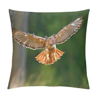 Personality  Flying Red-tailed Hawk Pillow Covers