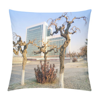 Personality  Gnarled Trees Pillow Covers