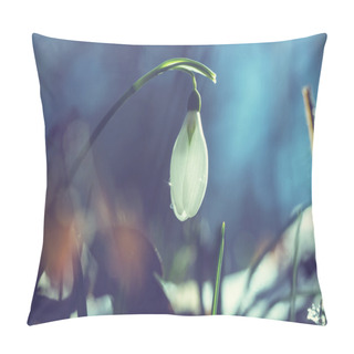 Personality  Snowdrop Pillow Covers