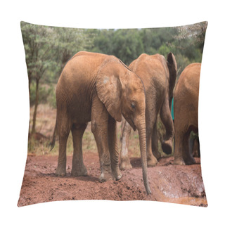 Personality  Elephants Roaming Around Bush Pillow Covers