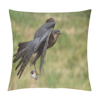 Personality  Sparrowhawk Bird Flying Pillow Covers