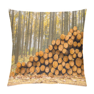 Personality  Stack Of Timber In A Yellow Colored Larch Forest Pillow Covers