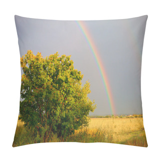 Personality  Rainbow Meadow Pillow Covers