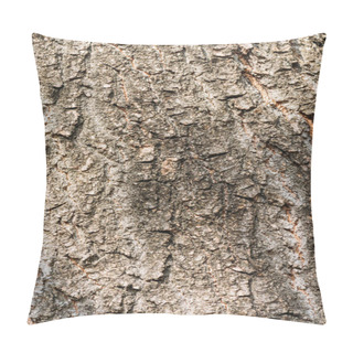 Personality  Close Up View Of Aged Grey Tree Bark Background  Pillow Covers