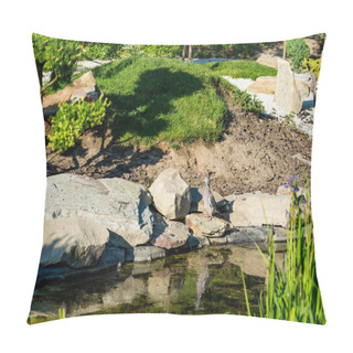 Personality  Dove Standing On Rocks Near Calm Pond In Summer At Sunlight Pillow Covers