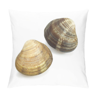 Personality  PALOURDE Pillow Covers