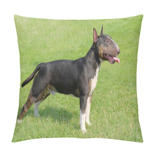 Personality  The Portrait Of Miniature Bull Terrier  Pillow Covers