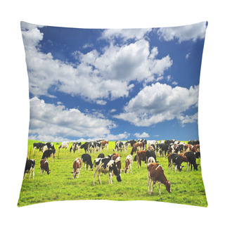 Personality  Cows In Pasture Pillow Covers