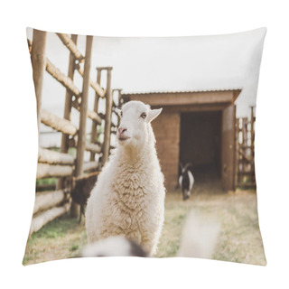 Personality  Close Up View Of Sheep Grazing Among Goats In Corral At Farm Pillow Covers