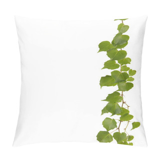 Personality  Green Ivy Pillow Covers