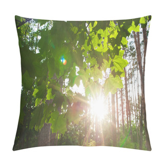 Personality  Sunbeams Pour Through Trees In Forest Pillow Covers