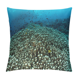 Personality  Huge Coral Colony And Blue Water Pillow Covers