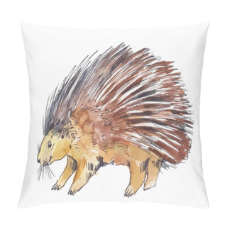 Personality  Watercolor Drawing Of Porcupine Or Hedgehog  Pillow Covers