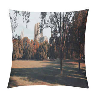 Personality  Green Lawn With Trees And Skyscrapers On Background In New York City, Banner Pillow Covers