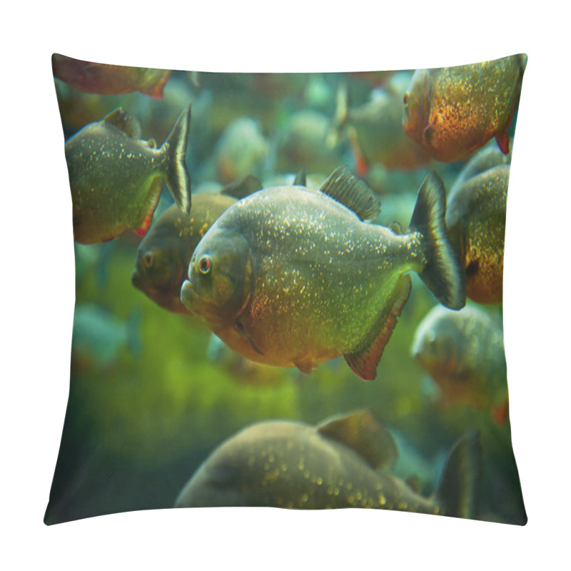 Personality  Piranha pillow covers