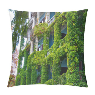 Personality  CLOSE UP: Lush Green Ivy Growing Up The Old Building In Tourist Town In Slovenia Pillow Covers