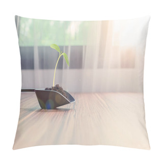 Personality  A Beautiful Plant In Mud And Planted In Gardening Tool In The Room With Window And Curtains Pillow Covers