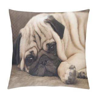 Personality  Cute Pug Dog Lying Resting On The Floor Pillow Covers
