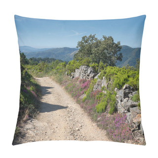 Personality  Panoramic Landscape Along The Camino De Santiago Trail Between Fonsagrada And O Cadavo, Galicia, Spain Pillow Covers