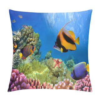 Personality  Marine Life On The Coral Reef Pillow Covers
