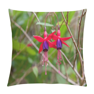 Personality  Blooming Buds Fuchsia Closeup Pillow Covers