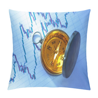 Personality  Compass On Data Chart Pillow Covers