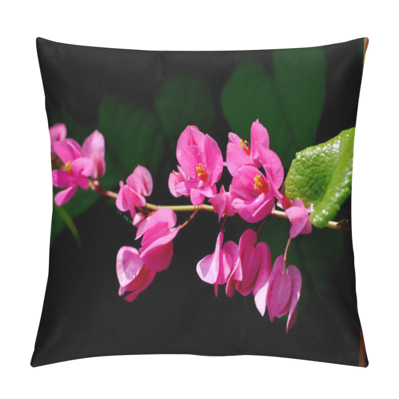 Personality  Confederate vine (Antigonon leptopus Hook.) pillow covers