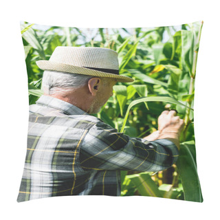 Personality  Senior Farmer In Straw Hat Touching Fresh Leaves In Corn Field  Pillow Covers