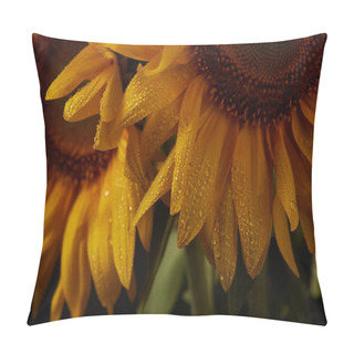 Personality  Dark Background With Wet Orange Sunflowers Pillow Covers