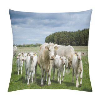 Personality  Cows On The Go In A Green Pastureland Pillow Covers