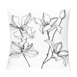 Personality  Vector Orchid Floral Botanical Flowers. Black And White Engraved Ink Art. Isolated Orchids Illustration Element. Pillow Covers