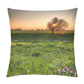 Personality  Lovely Early Morning Spring Scenery - Sun Rising Over Splendid Pillow Covers
