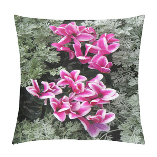 Personality  Cyclamen Pillow Covers