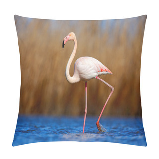 Personality  Greater Flamingo In Dark Blue Water Pillow Covers