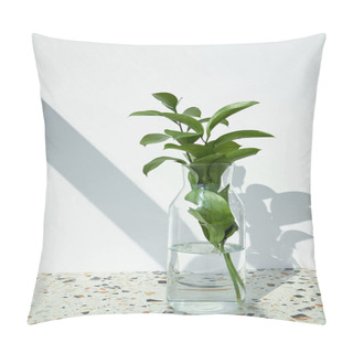 Personality  Fresh Leaves In Glass With Water Near White Wall With Shadows Pillow Covers